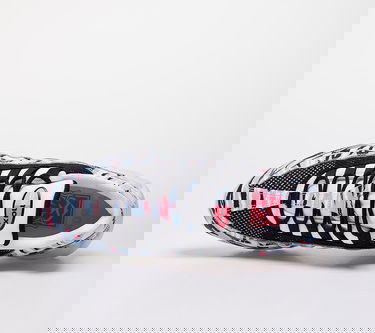 Tenisky a topánky Nike Air Max 95 Country - Korea Rôznofarebný | CW2359-100, 2