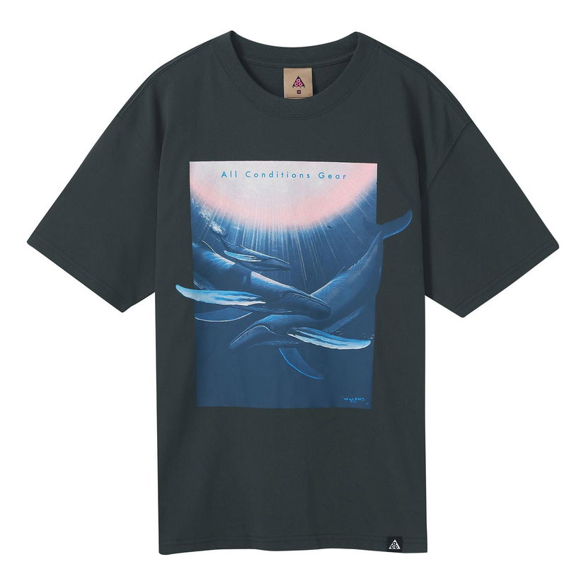 Tričko Nike ACG ACG Wyland Loose Fit T-Shirt Zelené | DC5359-070