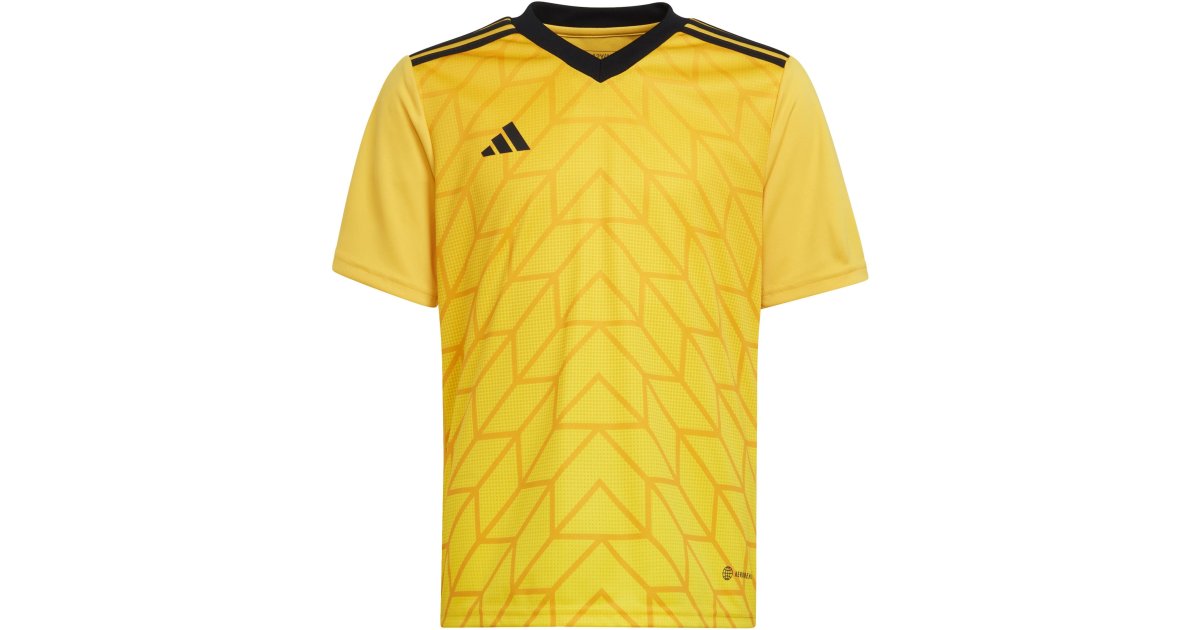 Dres adidas Originals Team Icon 23 Jersey Žltá | ic1253, 1