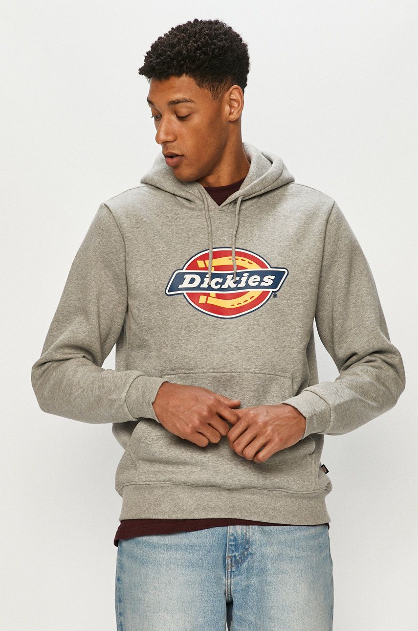 Mikina Dickies Hoodie Šedá | DK0A4XCBGYM, 0