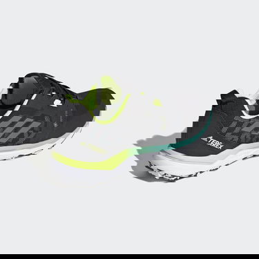 Tenisky a topánky adidas Performance Terrex Agravic GTX Čierna | FW5122, 1
