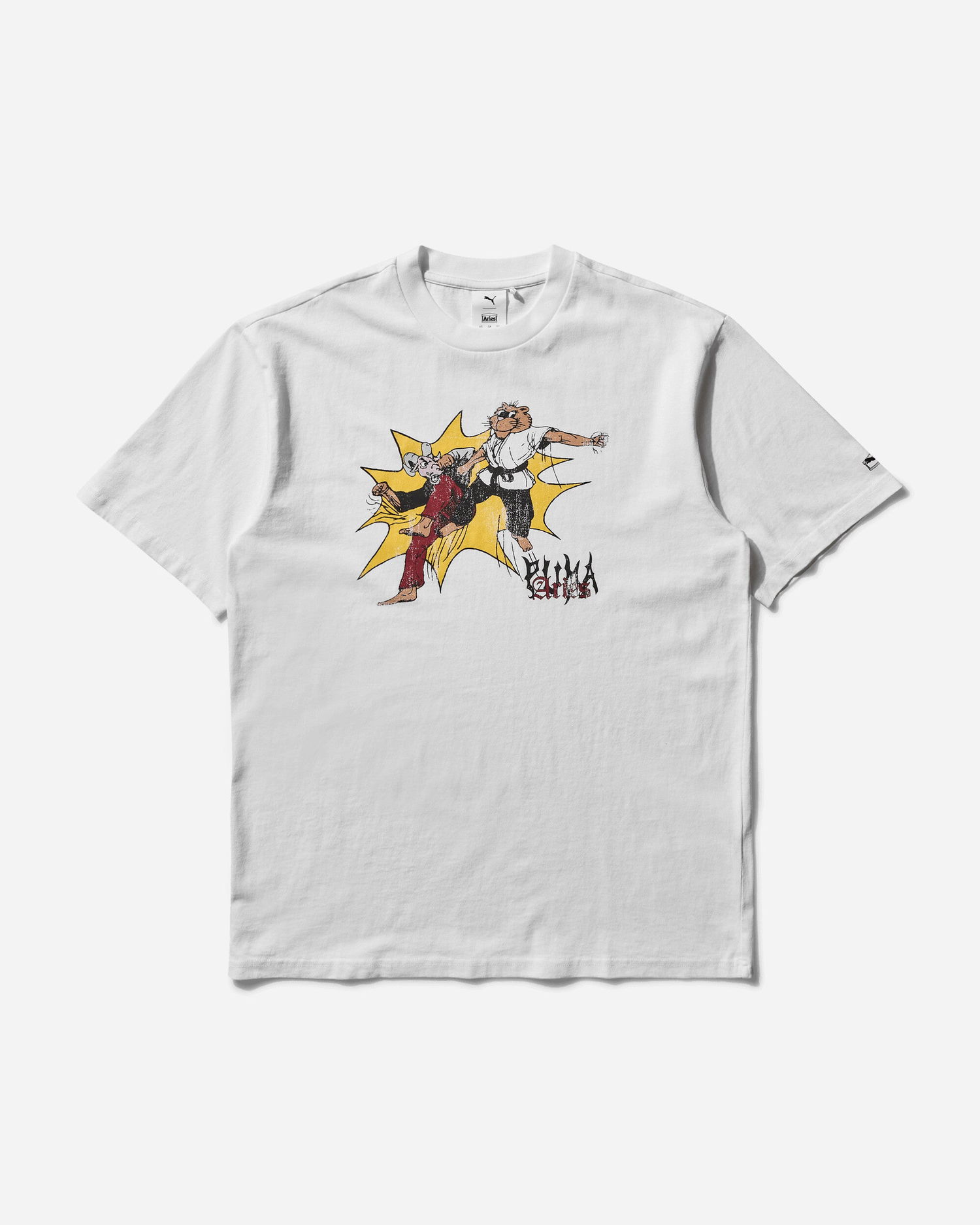 Tričko Puma Aries Graphic T-Shirt Biela | 629495-02, 1