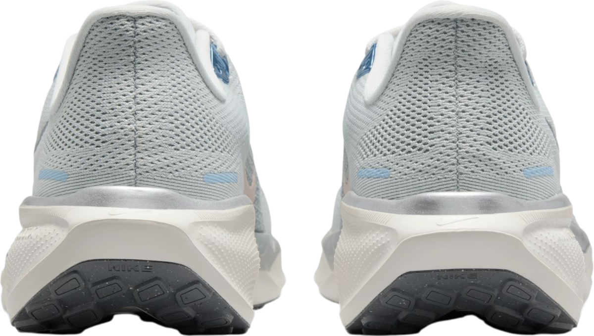 Tenisky a topánky Nike Pegasus 41 Šedá | fd2723-007, 1