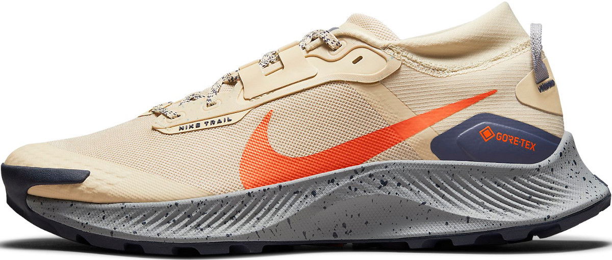 Tenisky a topánky Nike Pegasus Trail 3 GTX Hnedá | dc8793-200, 0