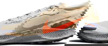 Tenisky a topánky Nike Pegasus Trail 3 GTX Hnedá | dc8793-200, 0