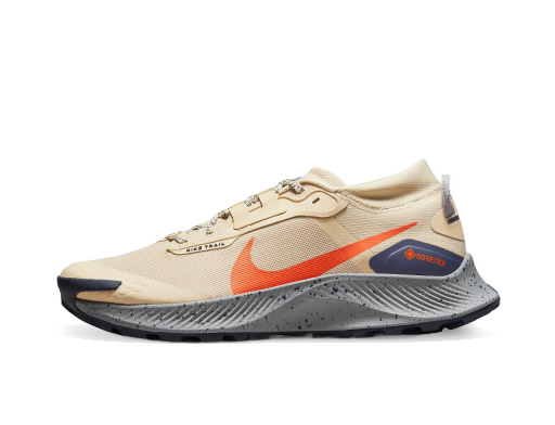 Bežecké topánky Nike Pegasus Trail 3 GTX Hnedá | dc8793-200