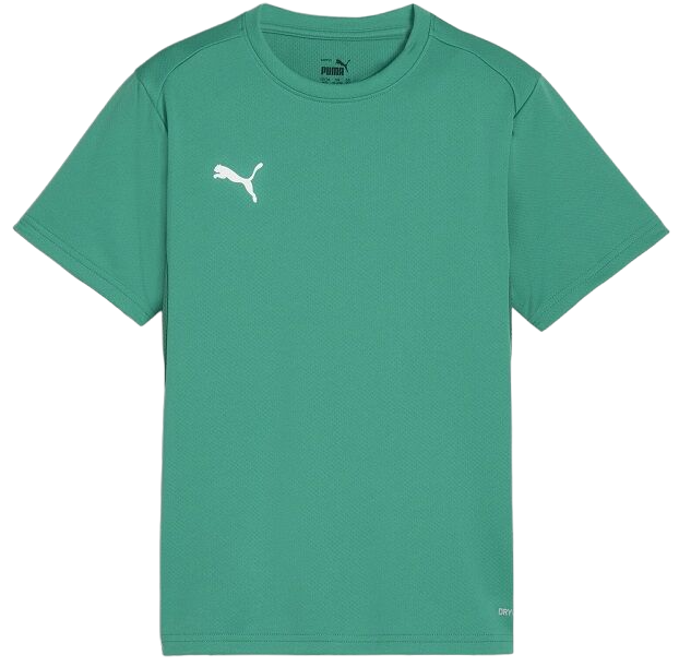 Tričko Puma teamGOAL T-Shirt Zelené | 658636-05