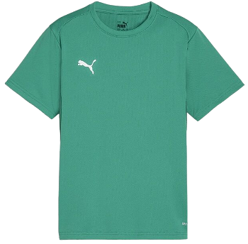 Puma teamGOAL T-Shirt 658636-05