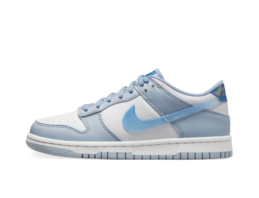 Tenisky a topánky Nike Dunk Low Next Nature Blue Iridescent (GS) Modrá | FJ4668-400