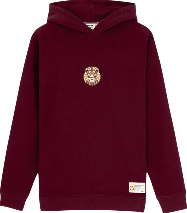 Mikina Puma GSSTORE X Reflect Studio Lion Hoody Vínová | e242400-100, 0