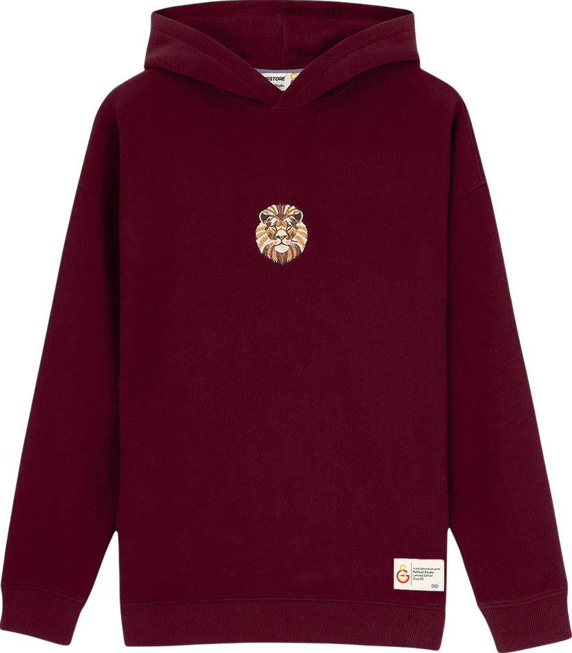 Mikina Puma GSSTORE X Reflect Studio Lion Hoody Vínová | e242400-100