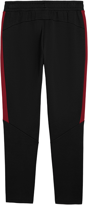 Tepláky Puma Galatasaray SK EVOSTRIPE Training Pants Čierna | 782903-05, 1
