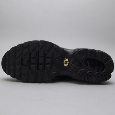 Tenisky a topánky Nike Air Max Plus Čierna | AJ2029-001, 2