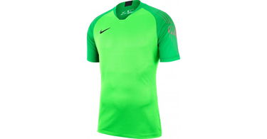 Tričko Nike Nike Gardien II Soccer Goalie Jersey Zelené | 894512-398, 1