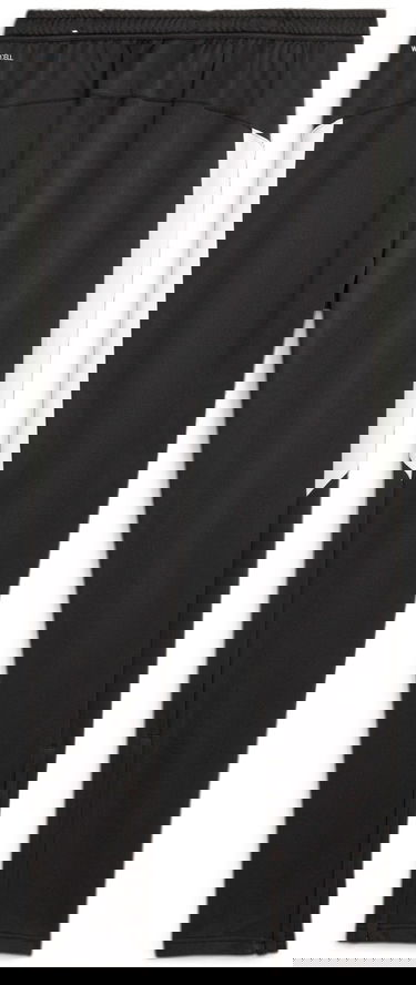 Nohavice a džínsy Puma Individual Winterized Football Pants Čierna | 658511-03, 1