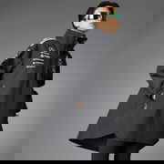 Mercedes-AMG Petronas Formula One Team MyShelter Rain Jacket