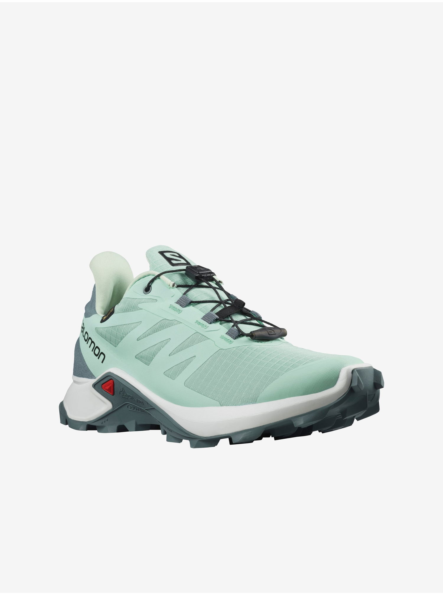 Tenisky a topánky Salomon Supercross GTX W Zelené | L41456600, 1