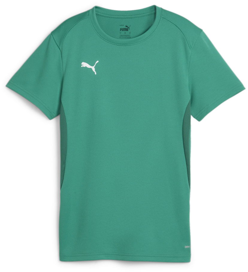 Tričko Puma teamGOAL T-shirt Zelené | 658638-05