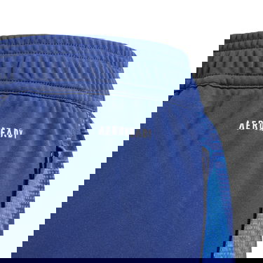 Tepláky adidas Originals FIGC Training Pants 2024 Modrá | iq2161, 2