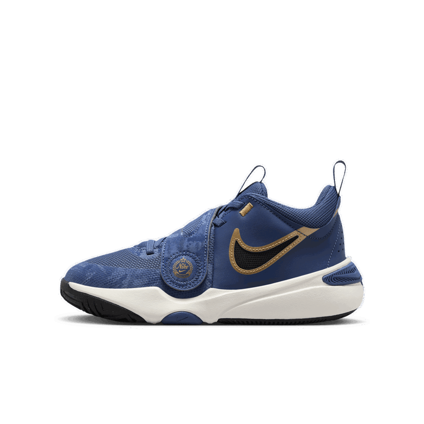 Tenisky a topánky Nike Team Hustle D 11 Modrá | FZ8463-400