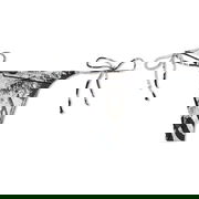 Miaou Kauai Bikini Bottom Easy Rider - Size M