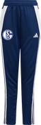 FC Schalke 04 Training Pants