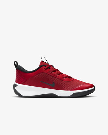 Tenisky a topánky Nike Omni Multi-Court Červená | DM9027-601, 1
