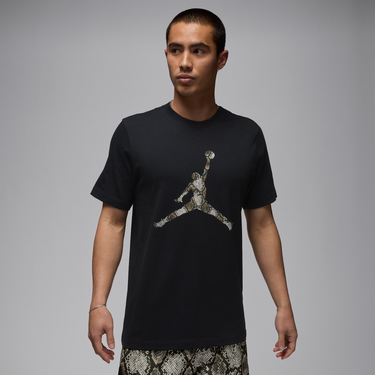 Tričko Jordan Jordan Sport Dri-FIT T-Shirt Čierna | HJ2862-011, 0