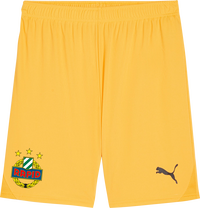 SK Rapid Wien Goalkeeper Shorts 2024/2025 by Puma