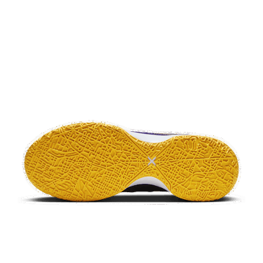 Tenisky a topánky Nike LeBron NXXT Gen Rôznofarebný | DR8784-500, 2