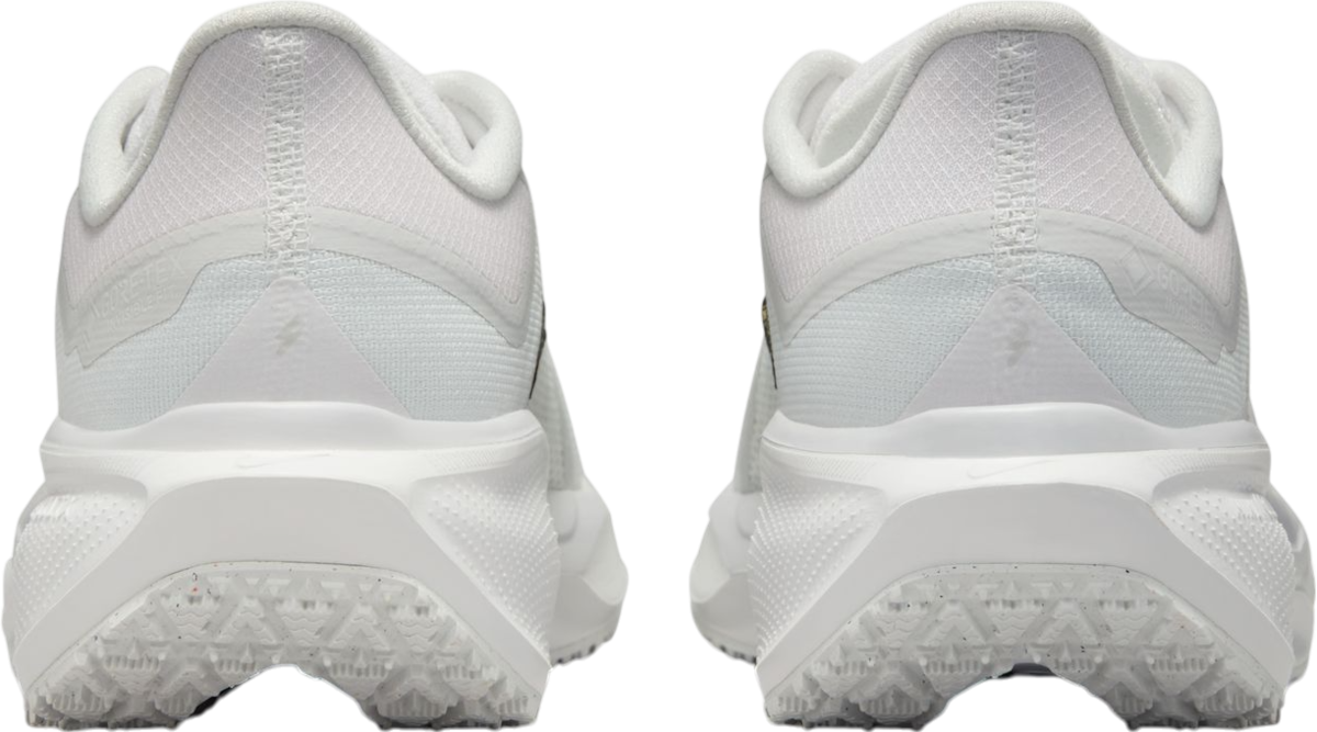 Tenisky a topánky Nike Pegasus 41 GORE-TEX Biela | fq1357-101, 1