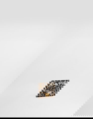 Peňaženka Dolce & Gabbana Dauphine Leopard Print Card Holder With Plate Rôznofarebný | BI0330AX566HY13M, 1