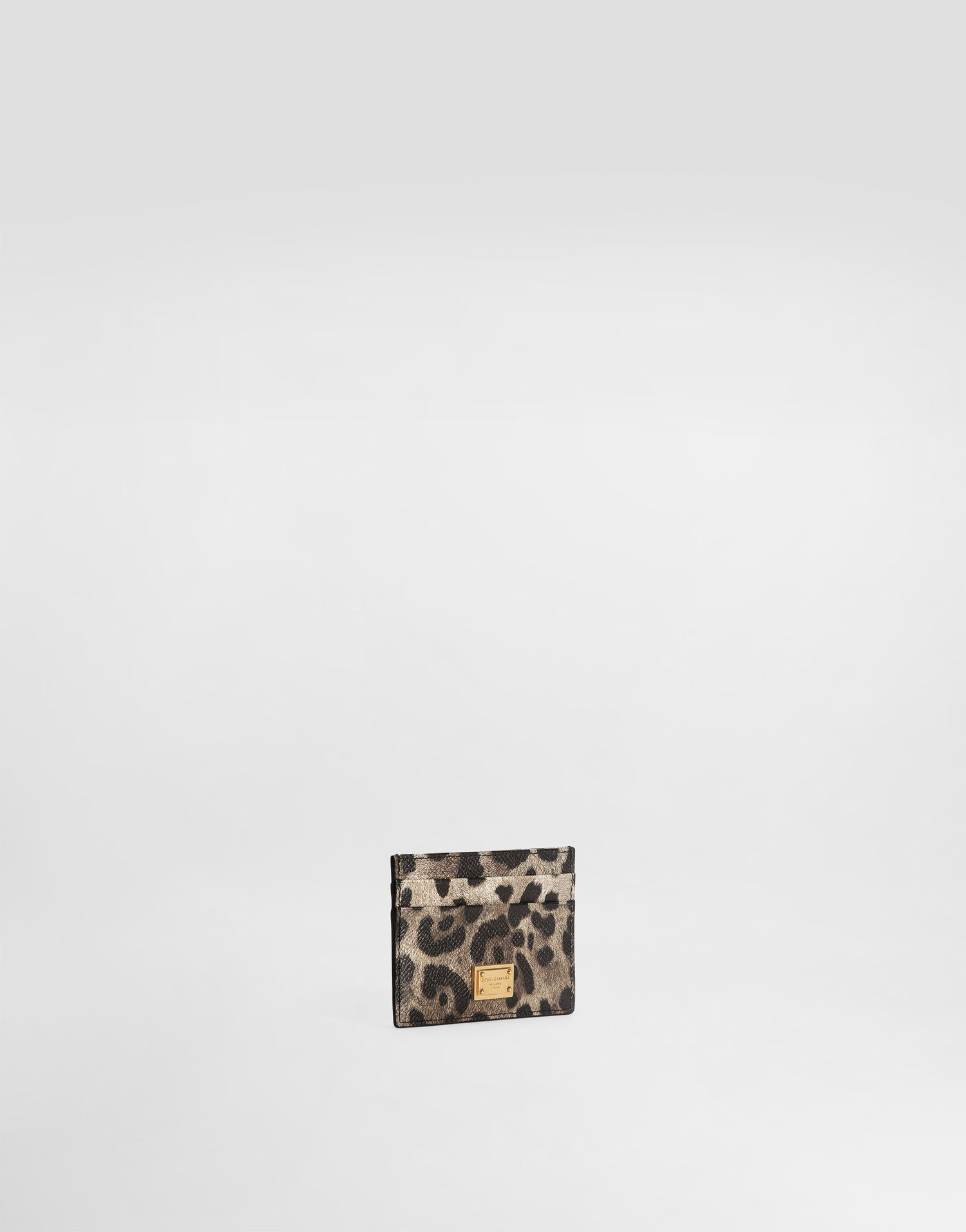 Peňaženka Dolce & Gabbana Dauphine Leopard Print Card Holder With Plate Rôznofarebný | BI0330AX566HY13M, 1