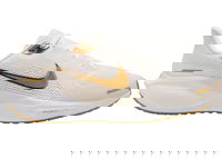 Air Zoom Pegasus 41 Light Pumice Metallic Gold W