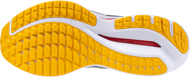 Tenisky a topánky Mizuno WAVE INSPIRE 20 Šedá | j1gc244401, 1