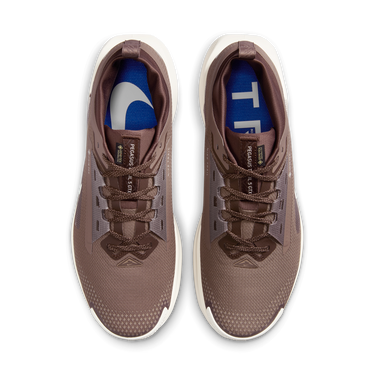 Tenisky a topánky Nike Pegasus Trail 5 GORE-TEX SP Hnedá | HQ7494-200, 1
