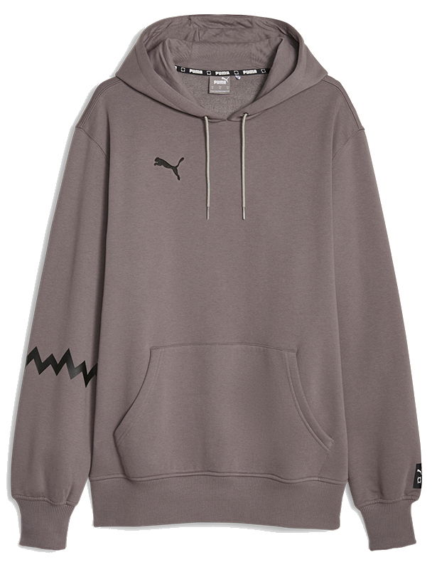 Mikina Puma Hoops Team Hoodie Hnedá | 676648-02