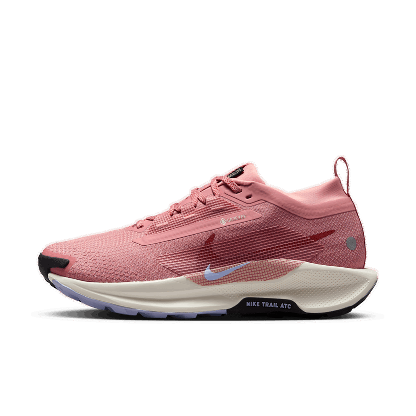 Tenisky a topánky Nike Pegasus Trail 5 GORE-TEX Ružová | FQ0912-602