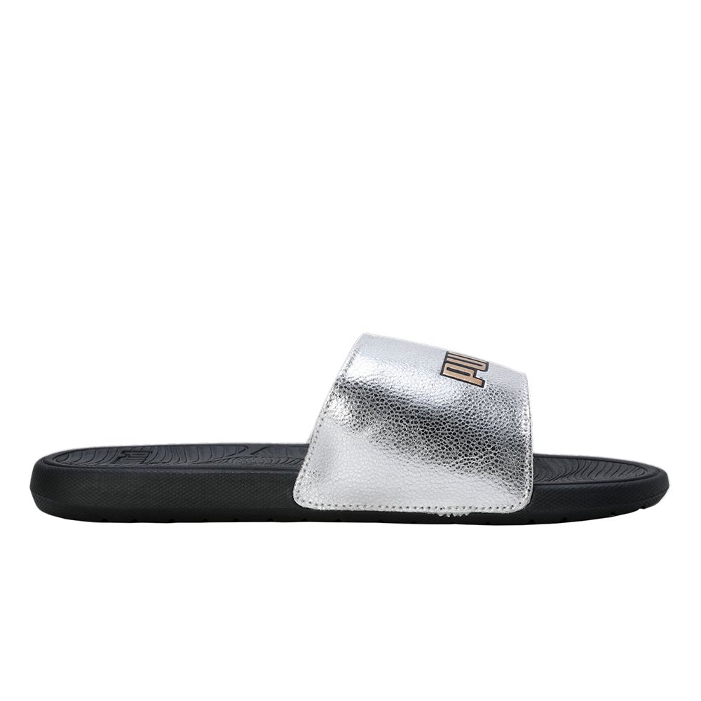 Cool Cat 2.0 Slides