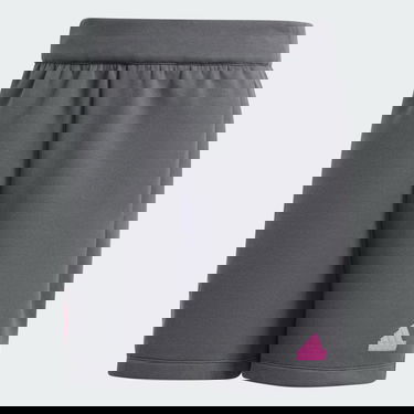 Šortky adidas Performance Germany Travel Šedá | IU2099, 3