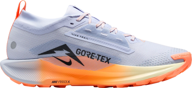 Tenisky a topánky Nike Pegasus Trail 5 GORE-TEX Rôznofarebný | fq0908-011, 3