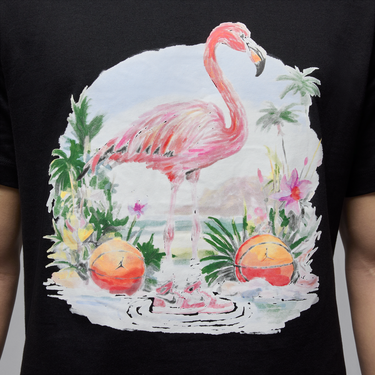 Tričko Nike T-Shirt Flamingo Graphic Čierna | HJ2399-010, 2