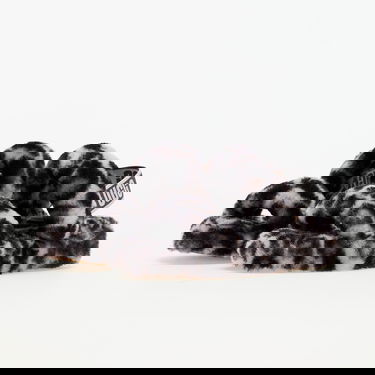 Tenisky a topánky UGG Oh Yeah "Panther Print Stormy Grey" W Rôznofarebný | 1120920-SYGR, 5
