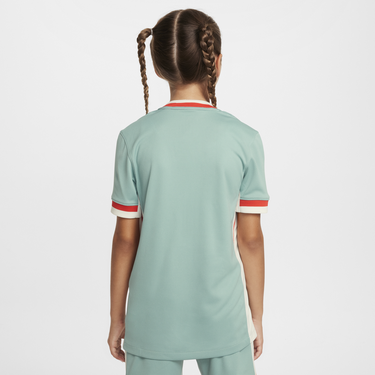 Dres Nike Atlético Madrid Stadium 2024/25 Dri-FIT Replika Jersey Zelené | FN9122-018, 3