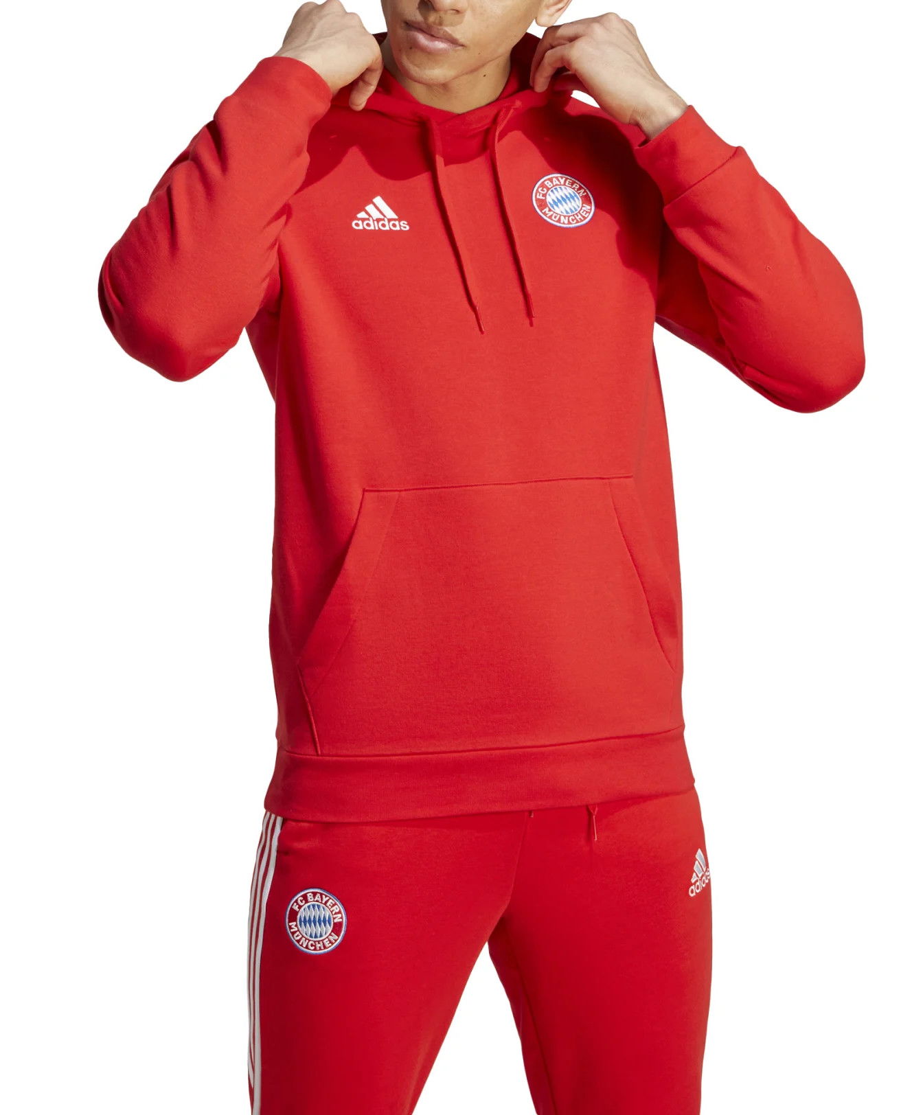 FC Bayern DNA Hoodie