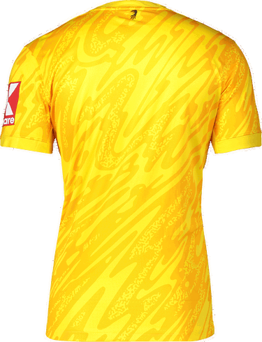 Dres Nike Nike SC Freiburg Goalkeeper Jersey 2025/26 Žltá | 6scffd7482-719gelb, 1
