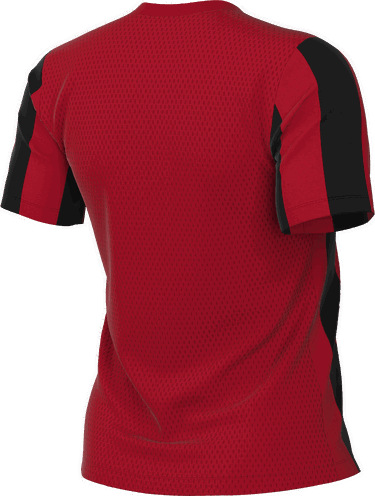 Dres Nike Stripe Division V Jersey Rôznofarebný | fz9339-657, 1