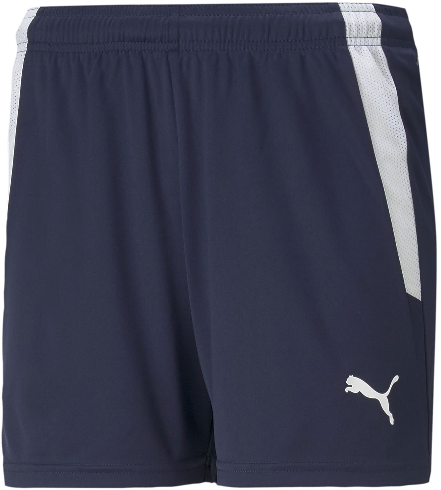 Šortky Puma teamLIGA Training Shorts Modrá | 70493606, 0