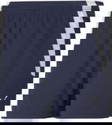 teamLIGA Training Shorts