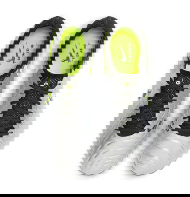 Tenisky a topánky Nike LEGEND 10 ELITE FG Metalická | dv4328-001, 3